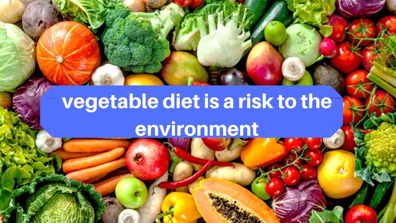 vegetable diet is a risk to the environment